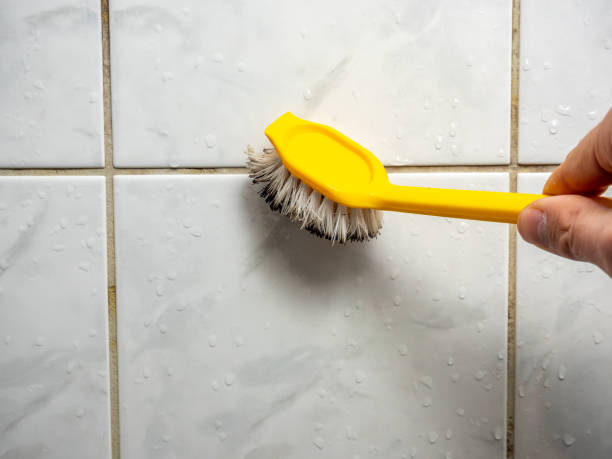 Best Mold Damage Repair  in Pacific, MO