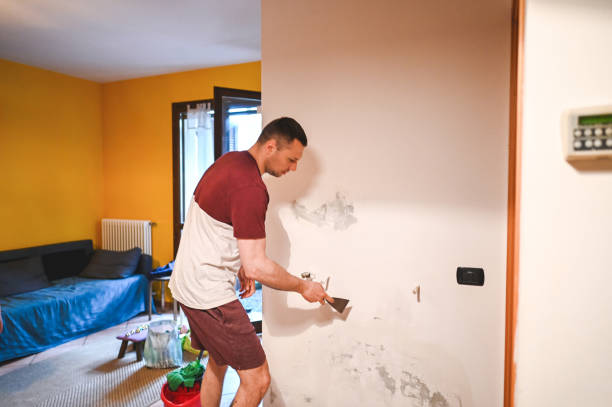 Best Certified Mold Removal  in Pacific, MO
